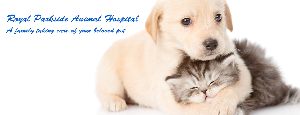 Home | Veterinarian in Barrie, ON | Royal Parkside Animal Hospital Royal  Parkside Animal Hospital - Veterinarian in Barrie, ON Canada